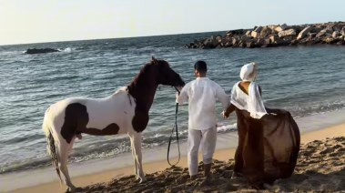  إعلان حمل ميار وصلاح عبر اليوتيوب