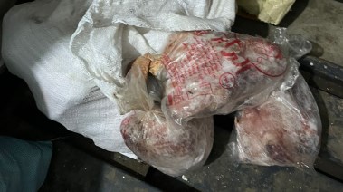 جانب من المضبوطات 