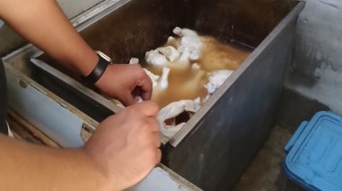 هياكل دواجن غير صالحة للاستهلاك