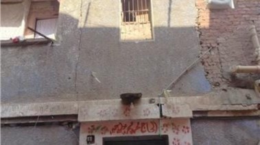 تشققات جدران عقار بالخانكة 