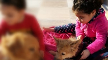 ضحايا واقعة فيلا الشروق