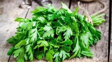 حزمة بقدونس