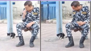 مجند يطعم قطة