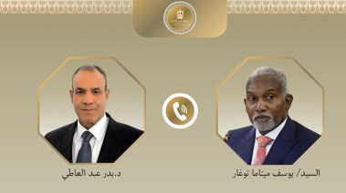 وزير الخارجية المصري ونظيره النيجيري