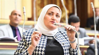 عضو مجلس النواب عن الحزب المصري الديمقراطي - سناء السعيد