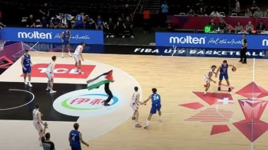 متظاهر ينزل الملعب بغلم فلسطين