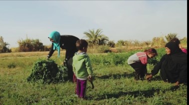 قرية السماحة بمحافظة أسوان