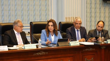 زيرة التنمية المحلية، الدكتورة منال عوض