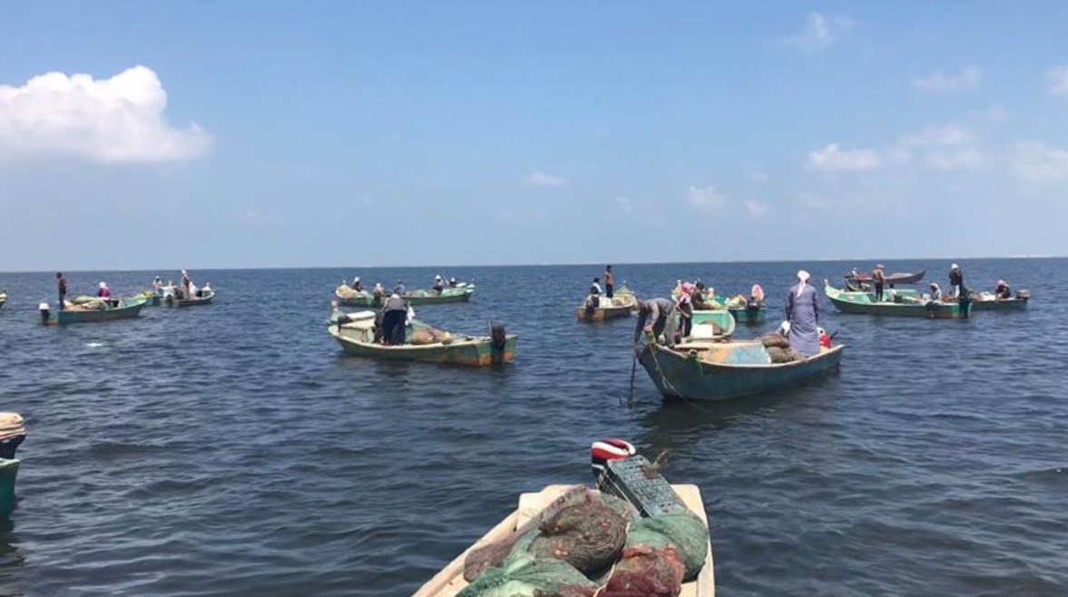 بحيرة المنزلة بحيرة المنزلة