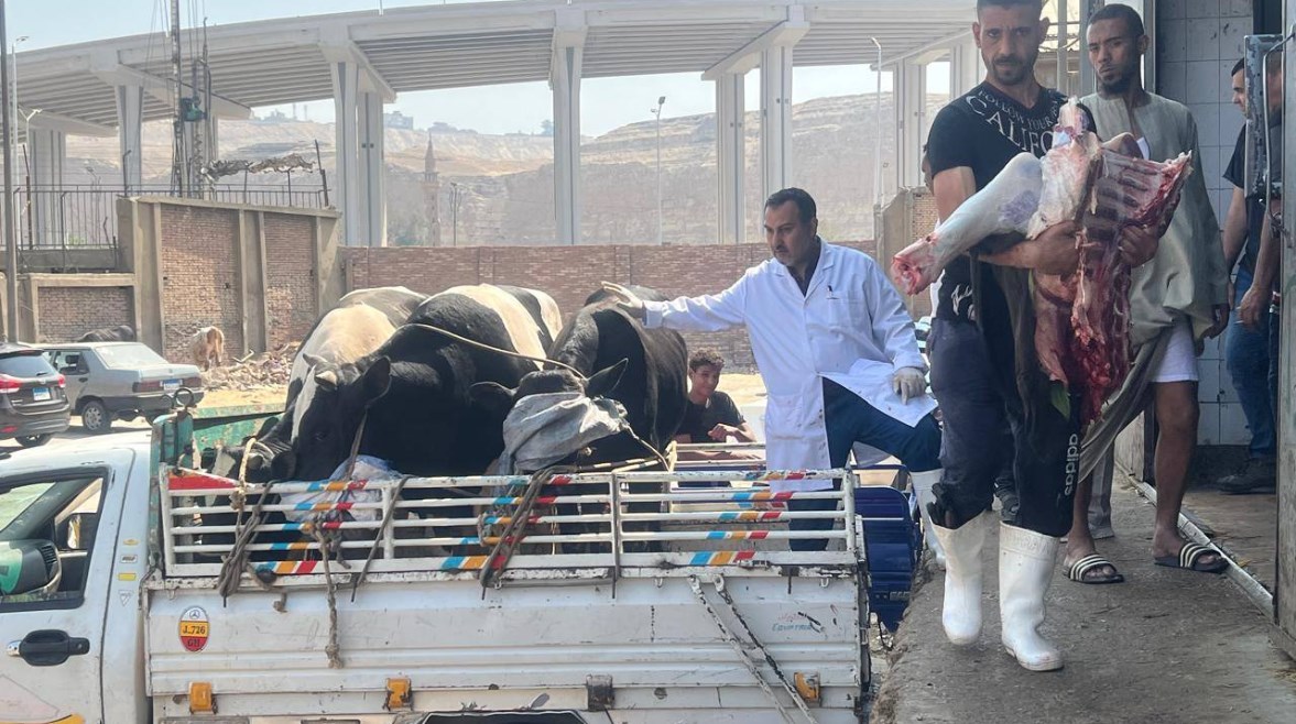 المجازر الحكومية المجازر الحكومية