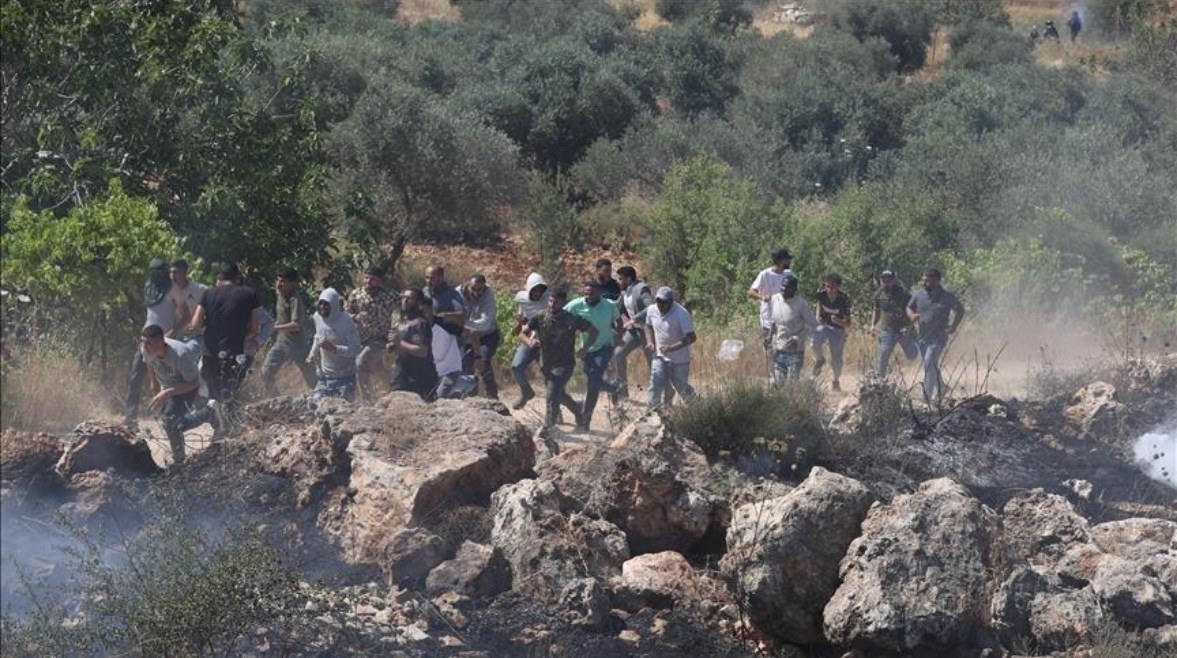 اعتداءات المستوطنين الإسرائيليين في الضفة الغربية اعتداءات المستوطنين الإسرائيليين في الضفة الغربية