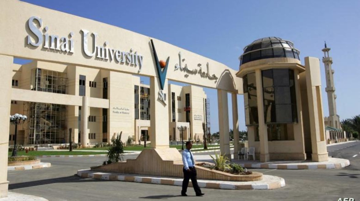 جامعة سيناء جامعة سيناء