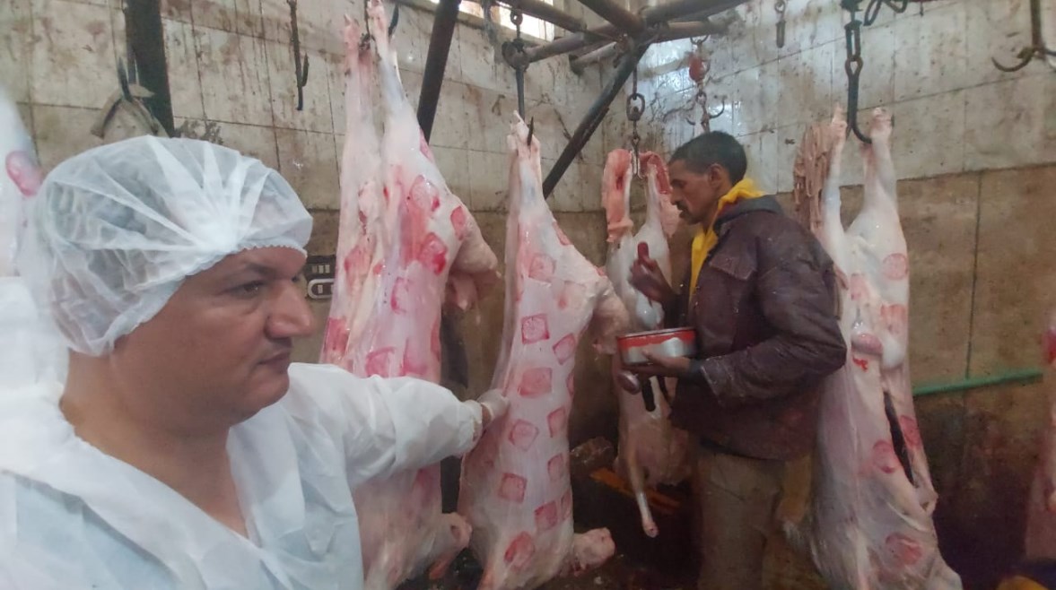 مجازر البحر الأحمر مجازر البحر الأحمر
