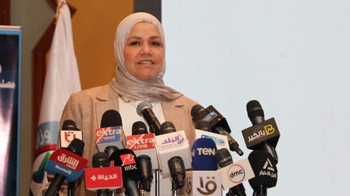رئيس مصلحة الضرائب، رشا عبدالعال