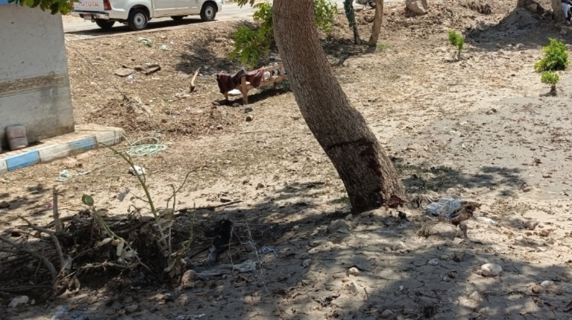 المنازل المتضررة من مياة الصرف الصحي المنازل المتضررة من مياة الصرف الصحي
