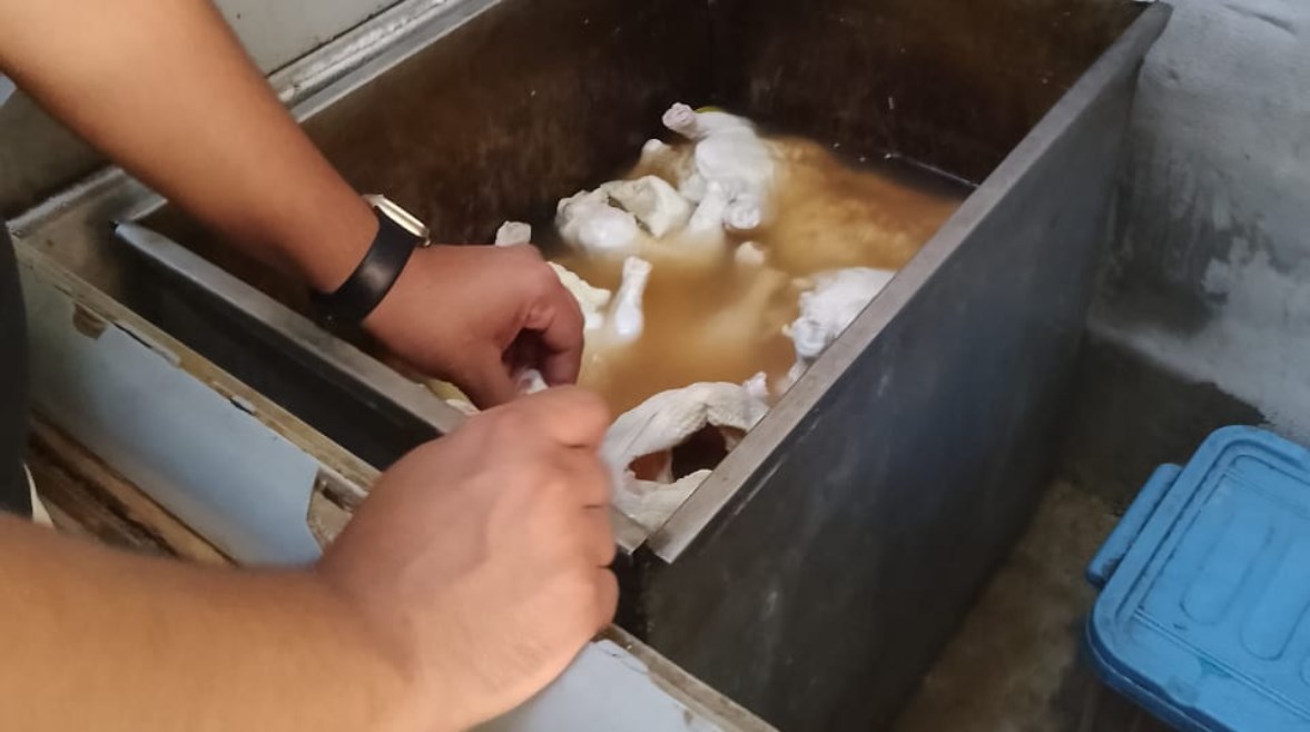هياكل دواجن غير صالحة للاستهلاك