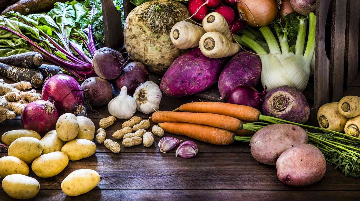خضراوات جذرية خضراوات جذرية