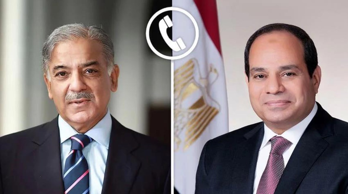 الرئيس عبد الفتاح السيسي، ورئيس الوزراء الباكستاني شهباز شريف
