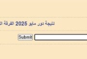 نتيجة معهد السيوف