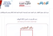 نتيجة الدبلومات برقم الجلوس 