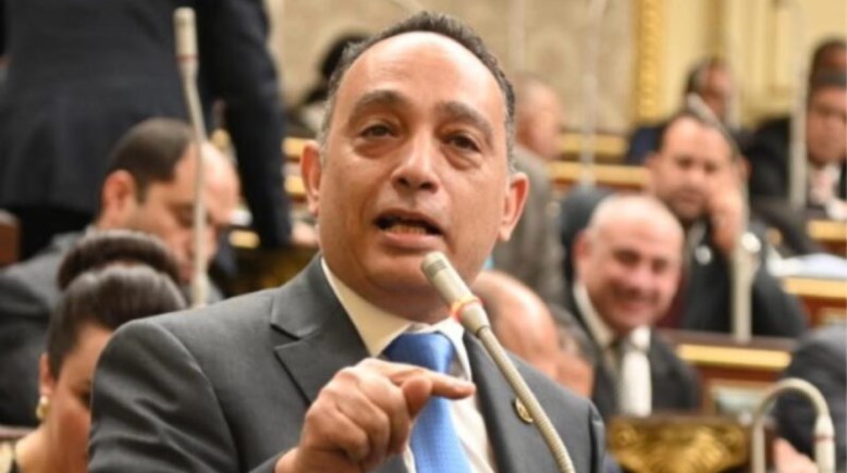 النائبة فريدي البياضي
