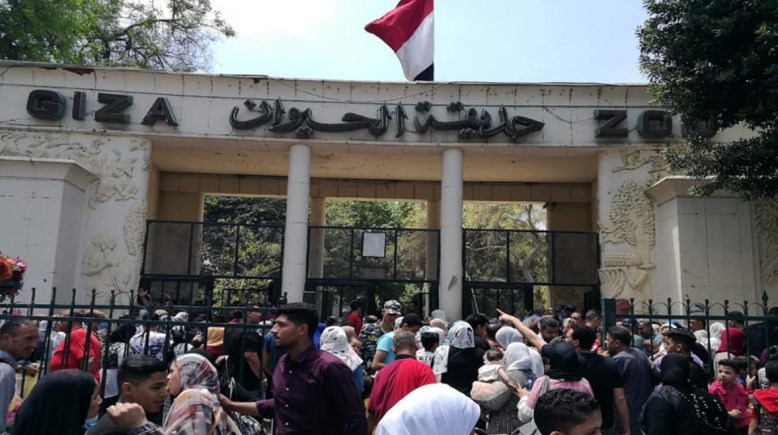 حديقة حيوان الجيزة