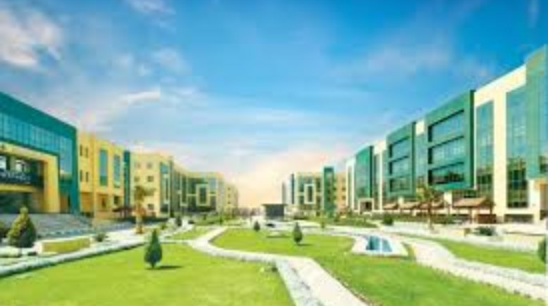 جامعة  دمنهور الأهلية