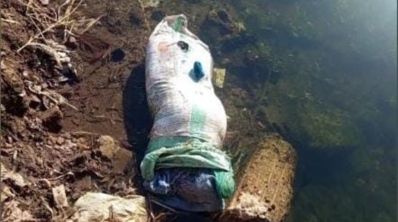 الجثمان 