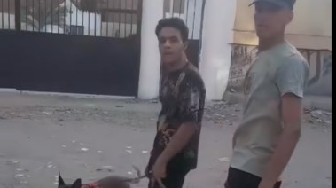 شابان بحوزتهما كلب شرس