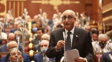 النائب حسانين توفيق