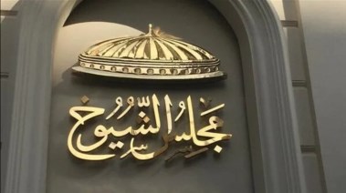 انتخابات مجلي الشيوخ