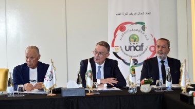 هاني أبو ريدة