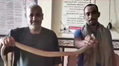 اصطياد ثعبان كوبرا من مسجد بالبحيرة