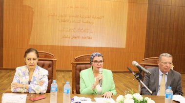 ورشة عمل النيابة الإدارية 
