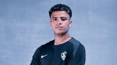 أحمد ربيع
