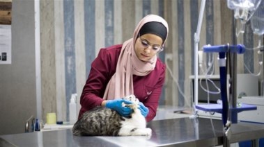  كليات الطب البيطري الخاصة في مصر