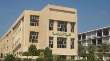 أقسام كلية الزراعة