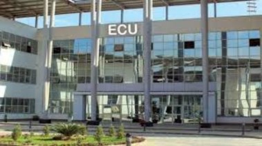 الجامعة الصينية في مصر 2025