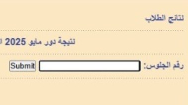 نتيجة معهد السيوف