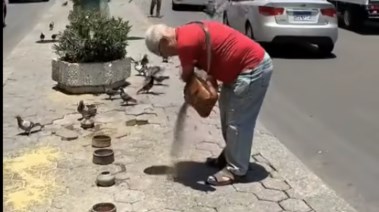 مدحت محمد صبري