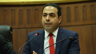 رئيس لجنة الشباب والرياضة بمجلس النواب، الدكتور محمود حسين