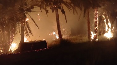 صورة من الحريق 