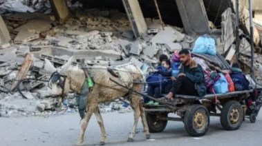 عربات تجرها الحمير لنقل الفلسطينيين من منطقة لأخرى داخل قطاع غزة 