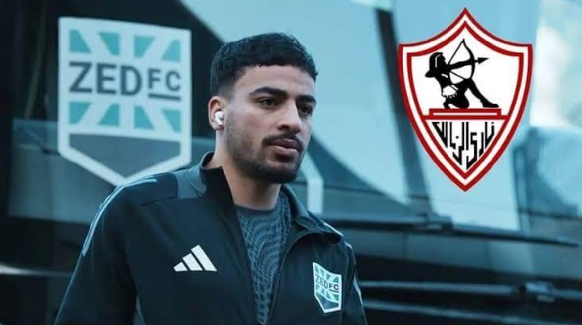 محمد إسماعيل محمد إسماعيل