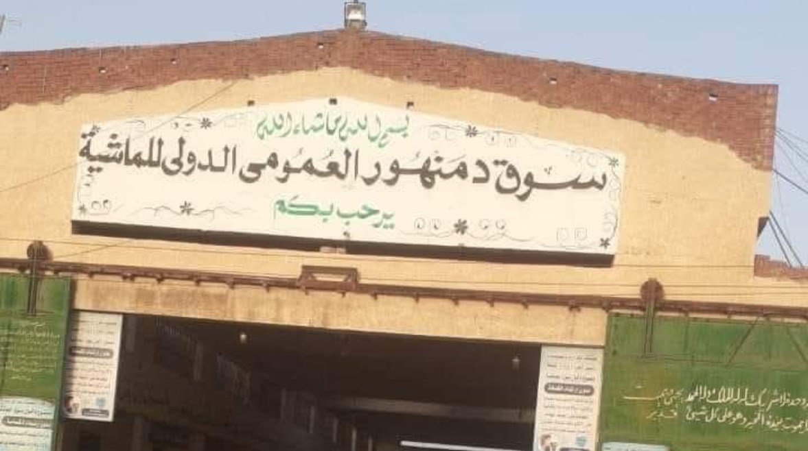 أرشيفية أرشيفية