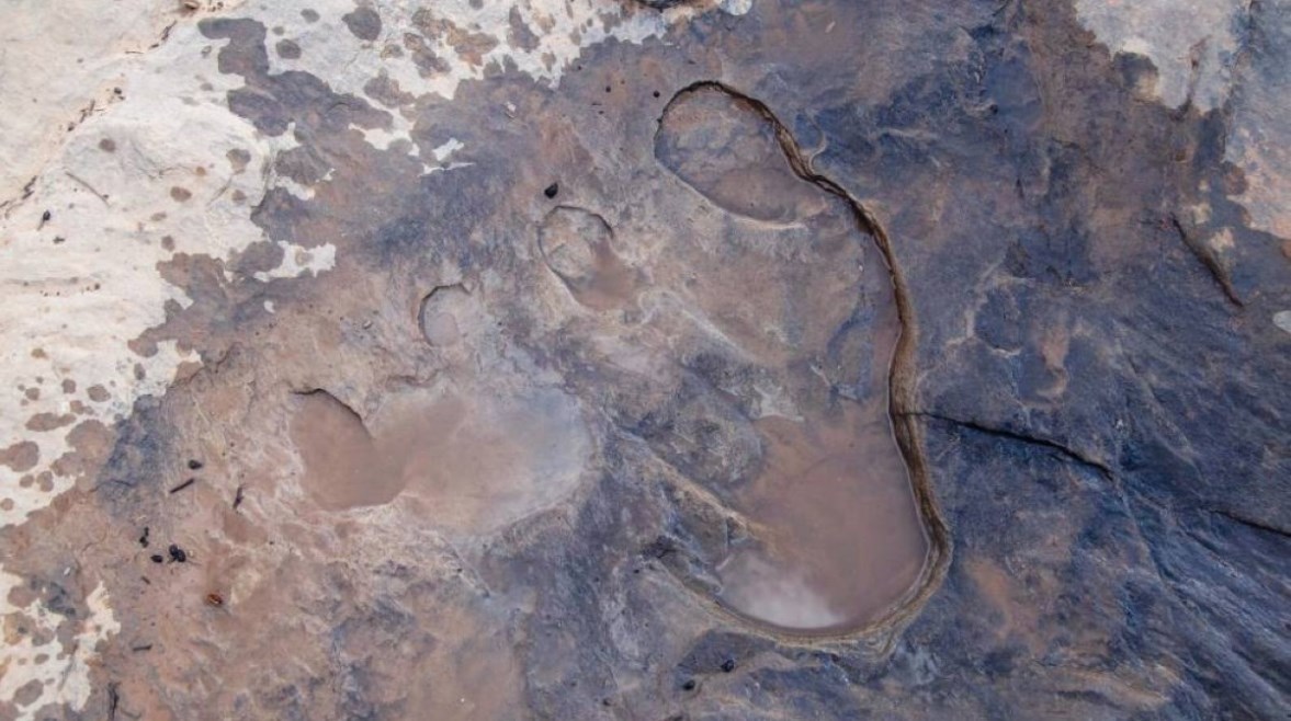تعبيرية