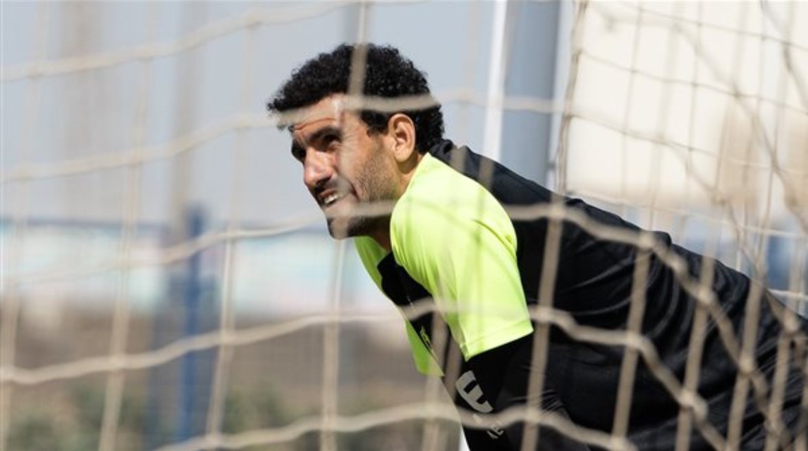 محمد عواد محمد عواد