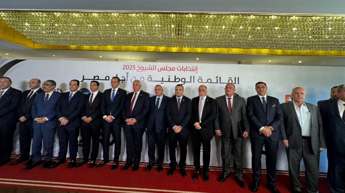 القائمة الوطنية من أجل مصر