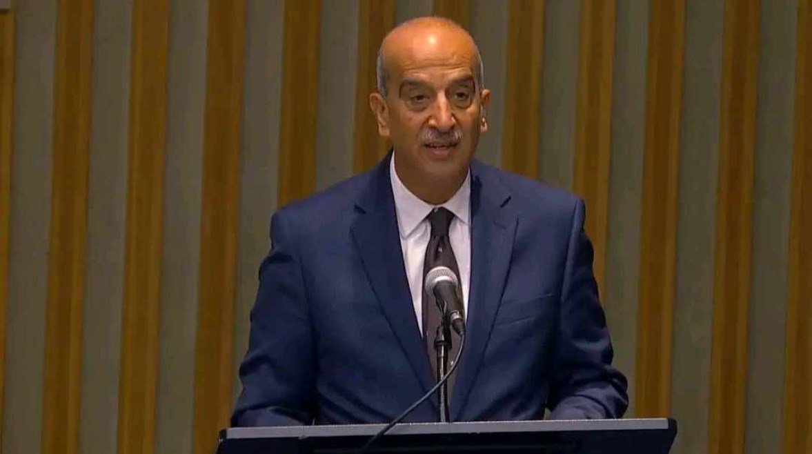 السفير أسامة عبد الخالق السفير أسامة عبد الخالق