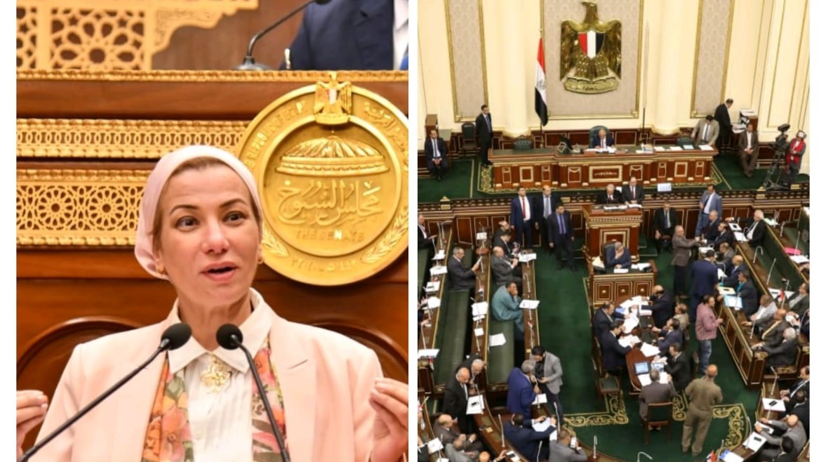مجلس النواب ووزيرة البيئة